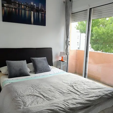 Des Canaris Apartment Toulouse